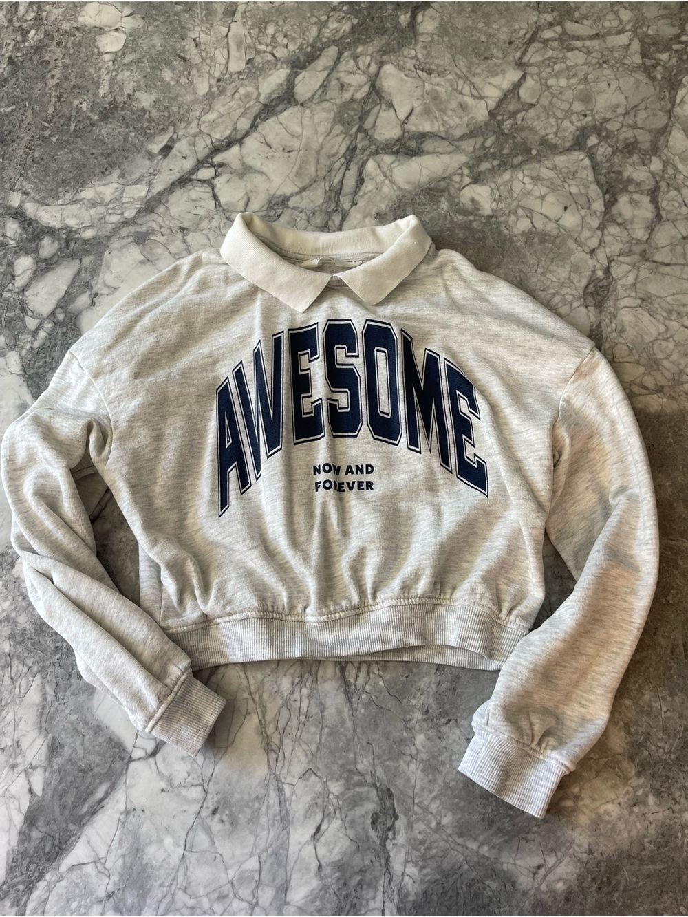 Like New! H&M Light Gray Collared Crop Sweatshirt with Navy 'AWESOME' Lettering